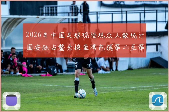 2026年中国足球现场观众人数统计国安独占鳌头梭鱼湾包揽第二至第七位